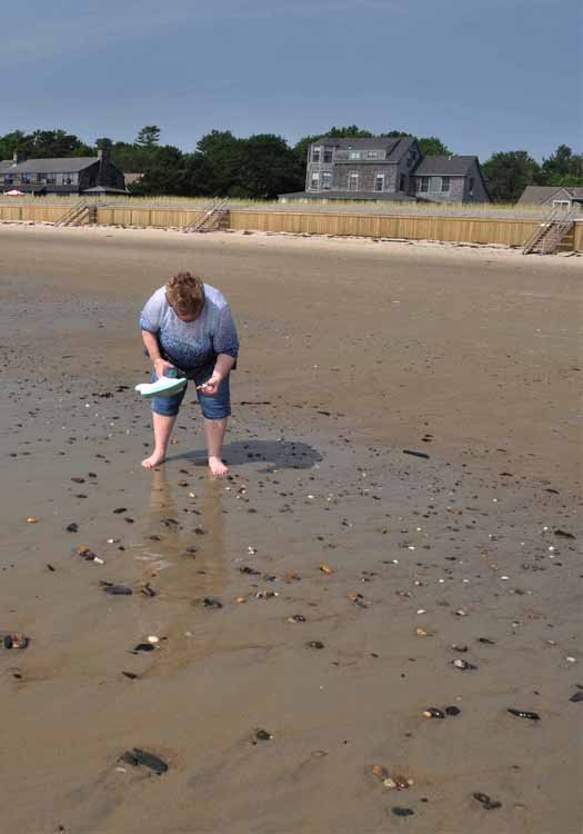 on the beach
